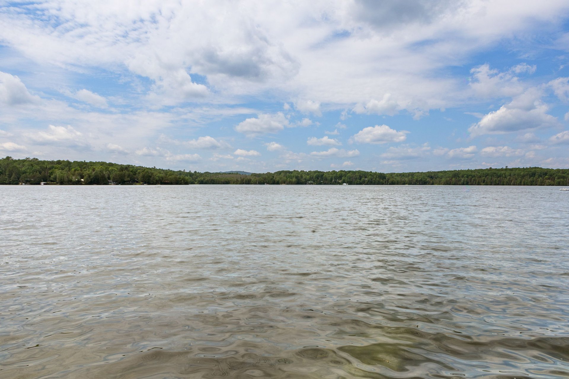 Vue sur l'eau