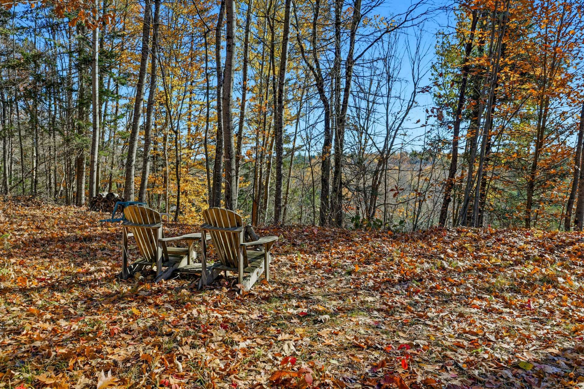 Land/Lot