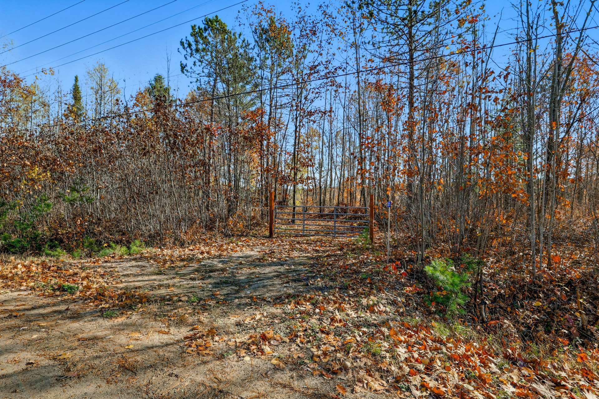 Land/Lot
