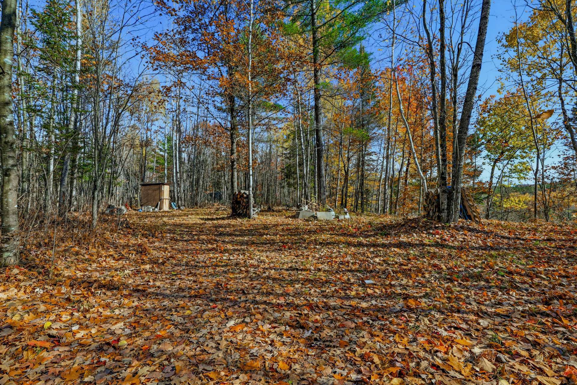Land/Lot