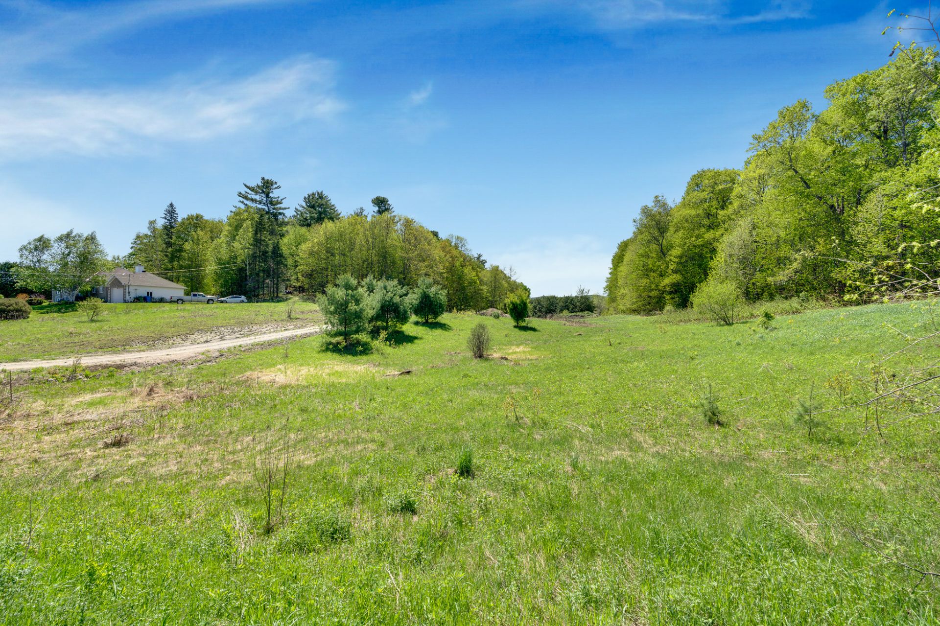 Land/Lot