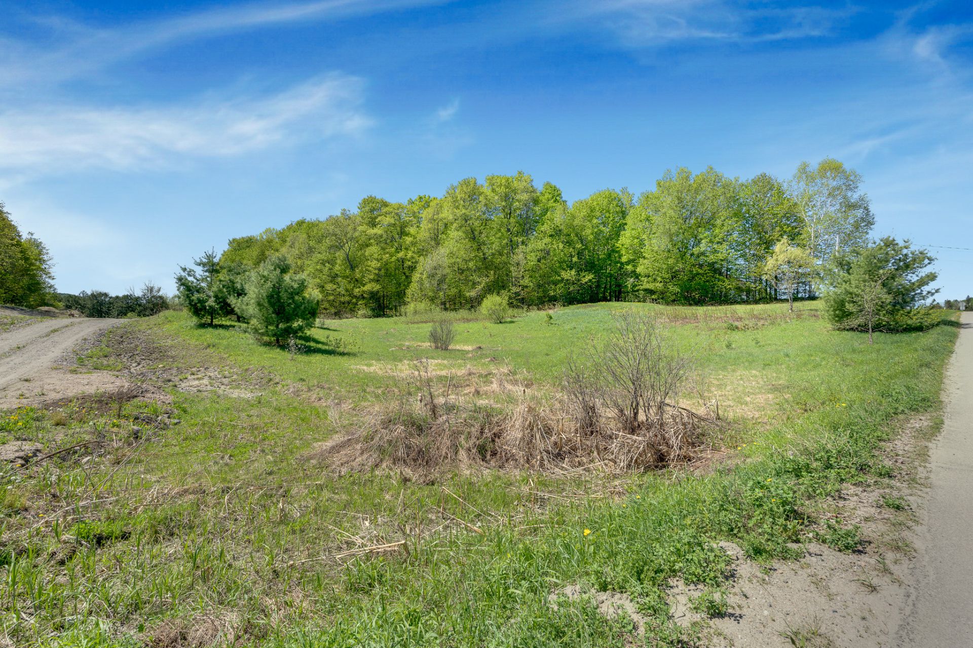 Land/Lot