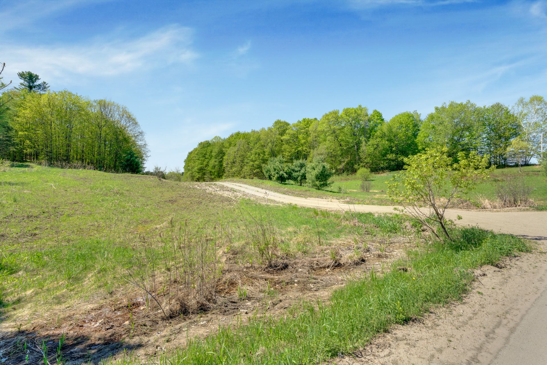 Land/Lot