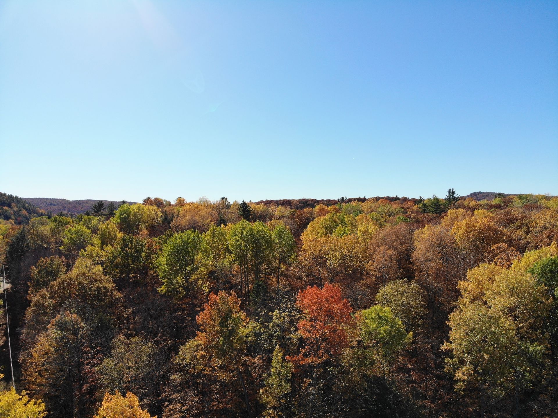 Wooded area