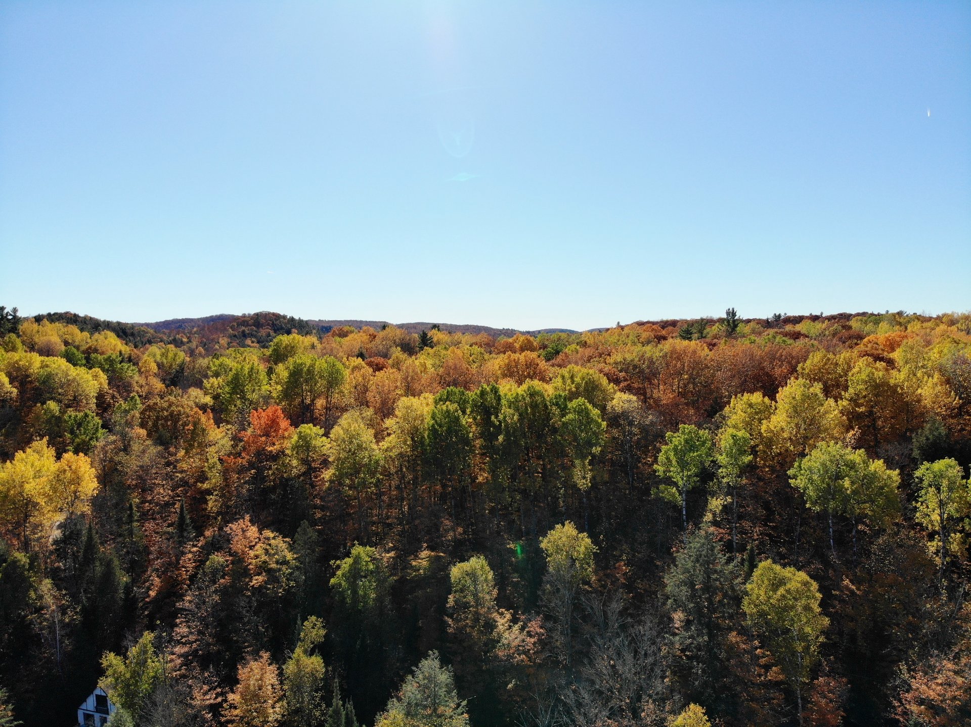Aerial photo