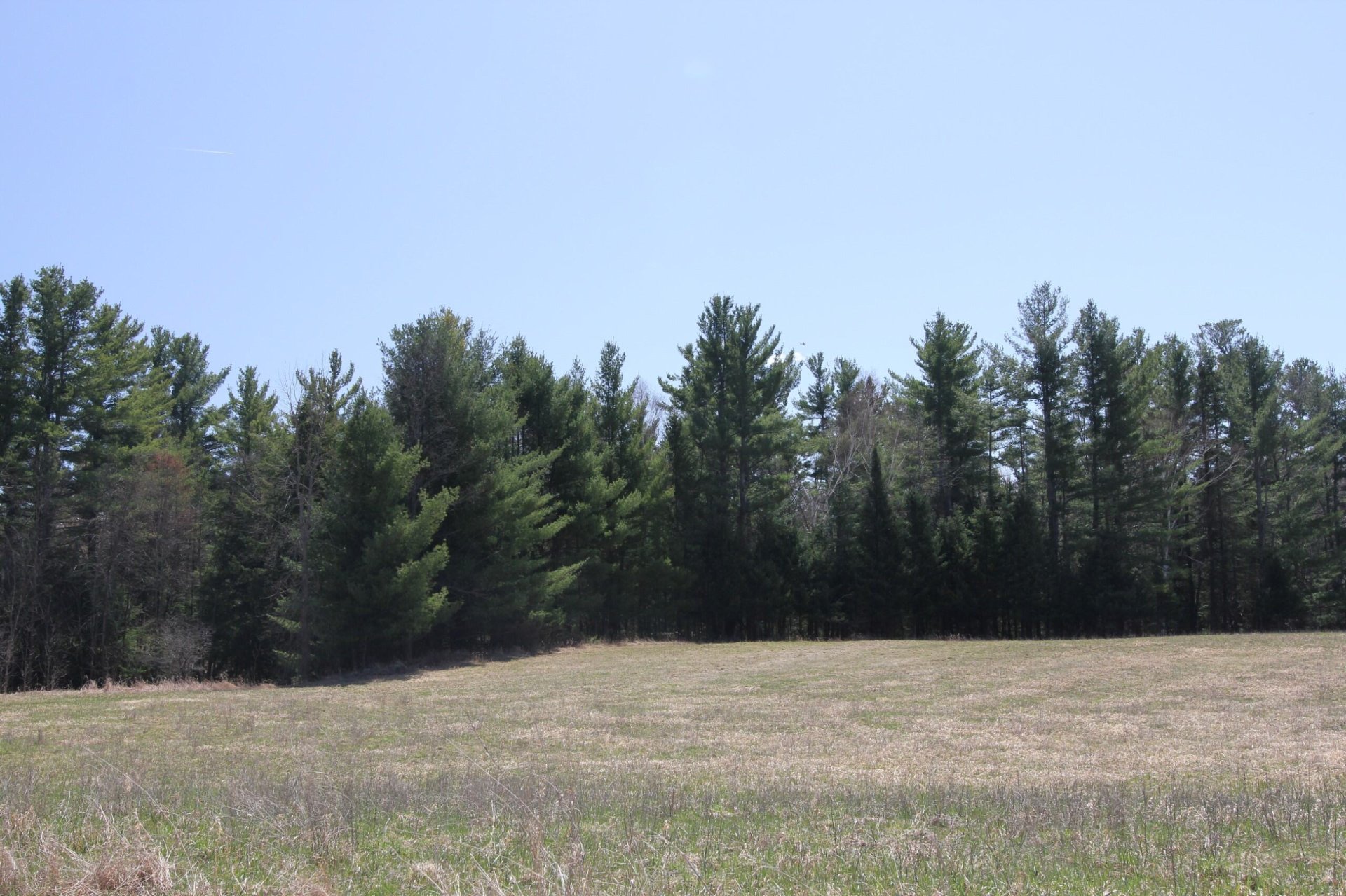 Terre/Terrain