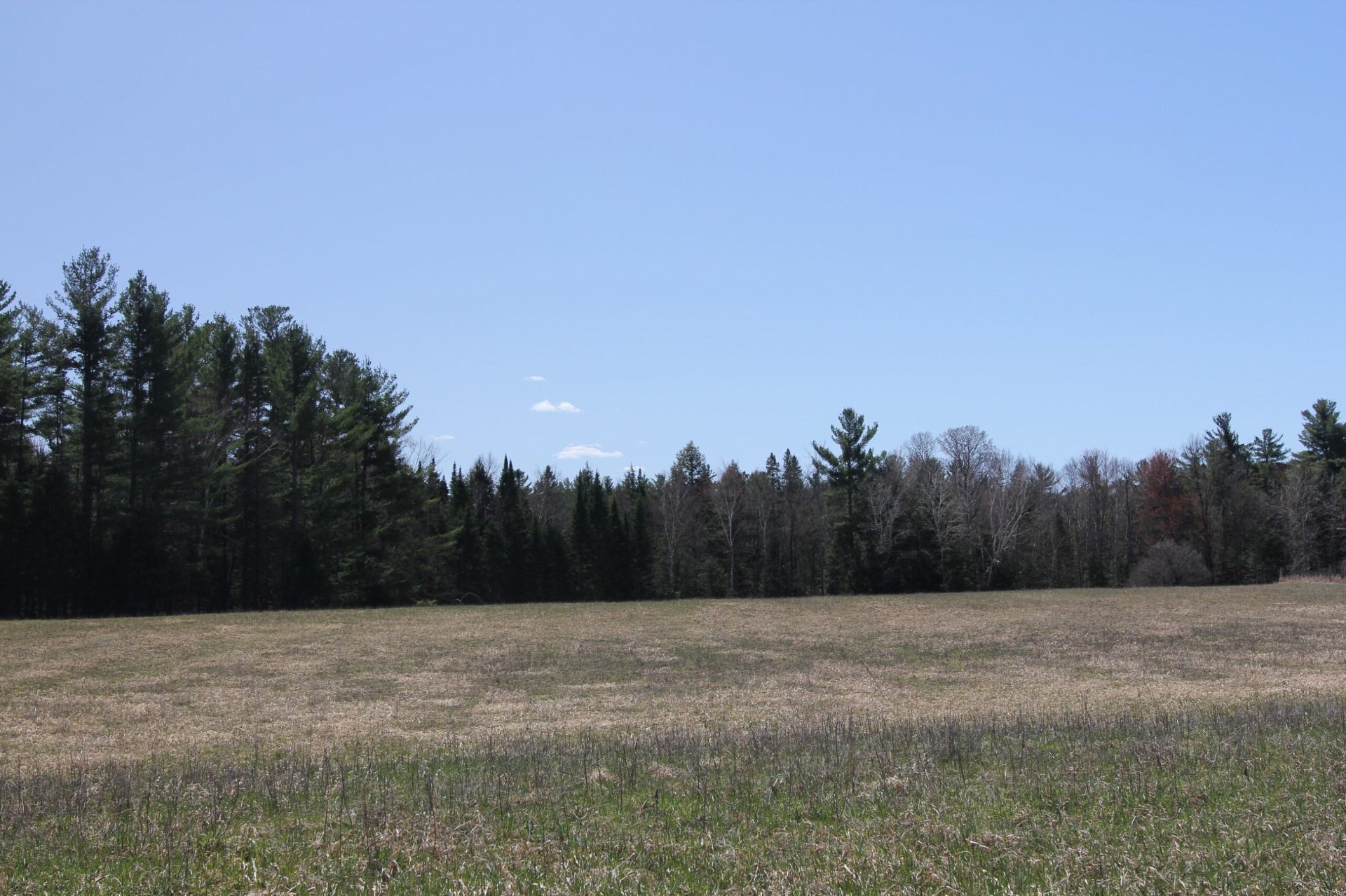 Terre/Terrain