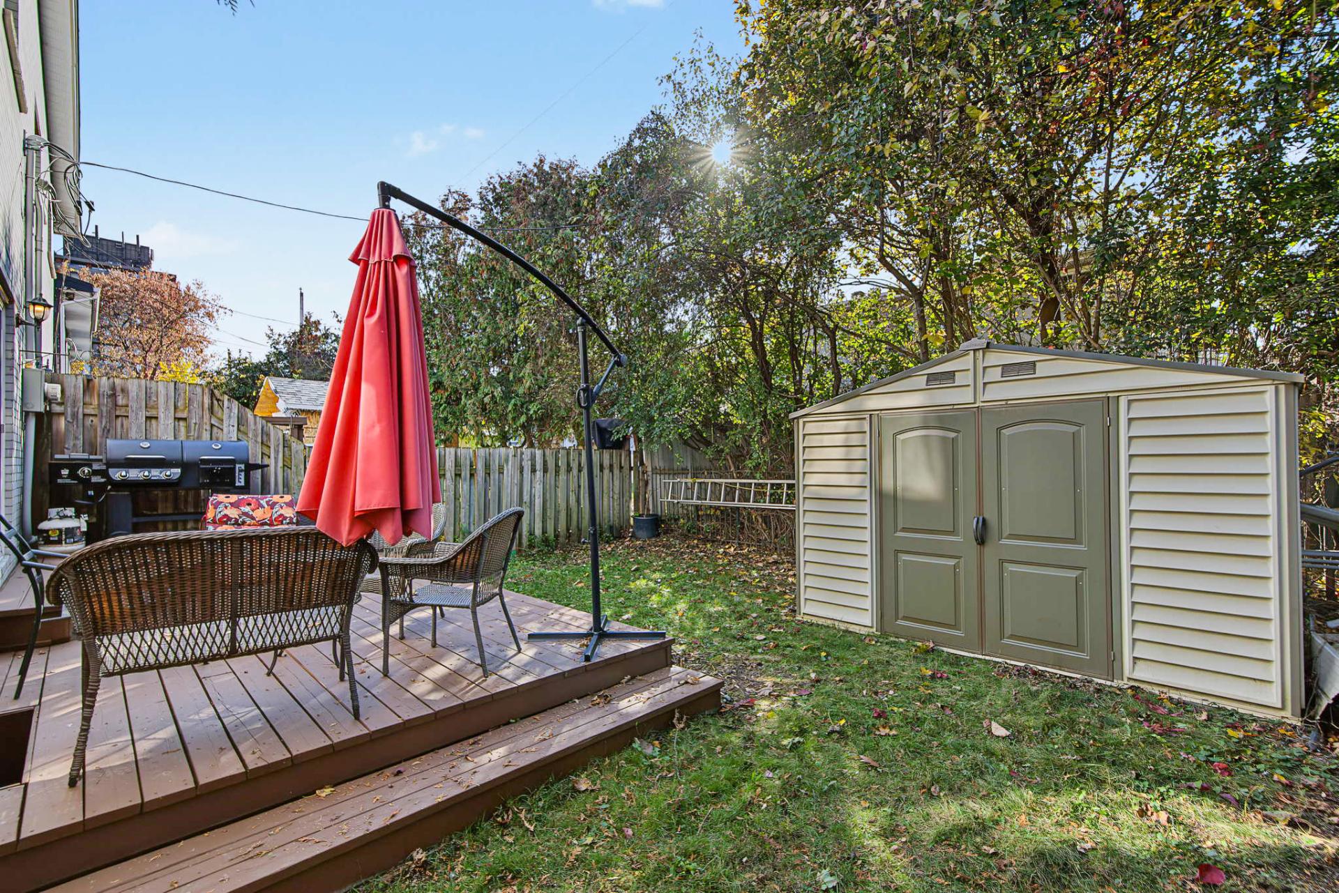Backyard