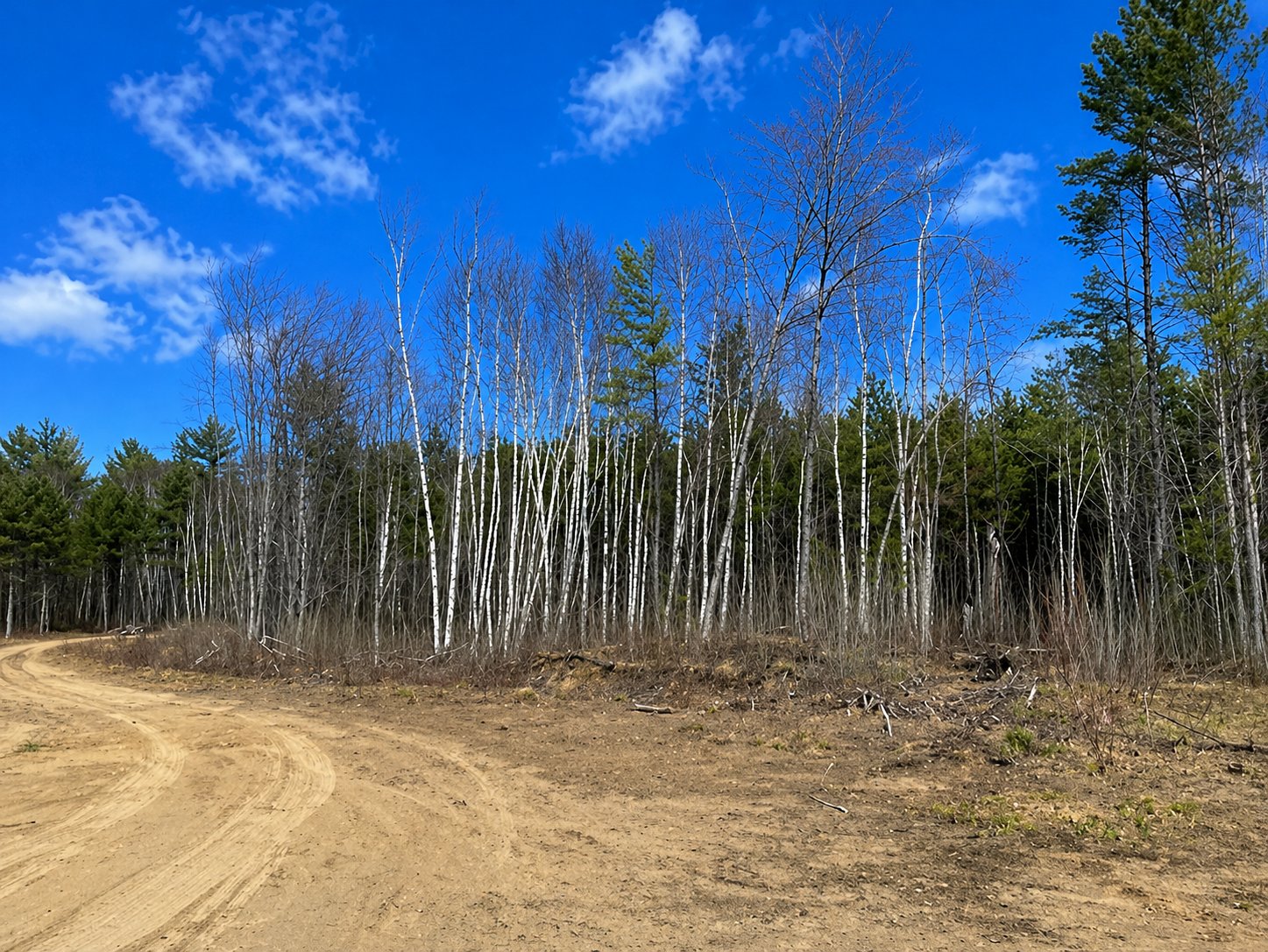 Land/Lot