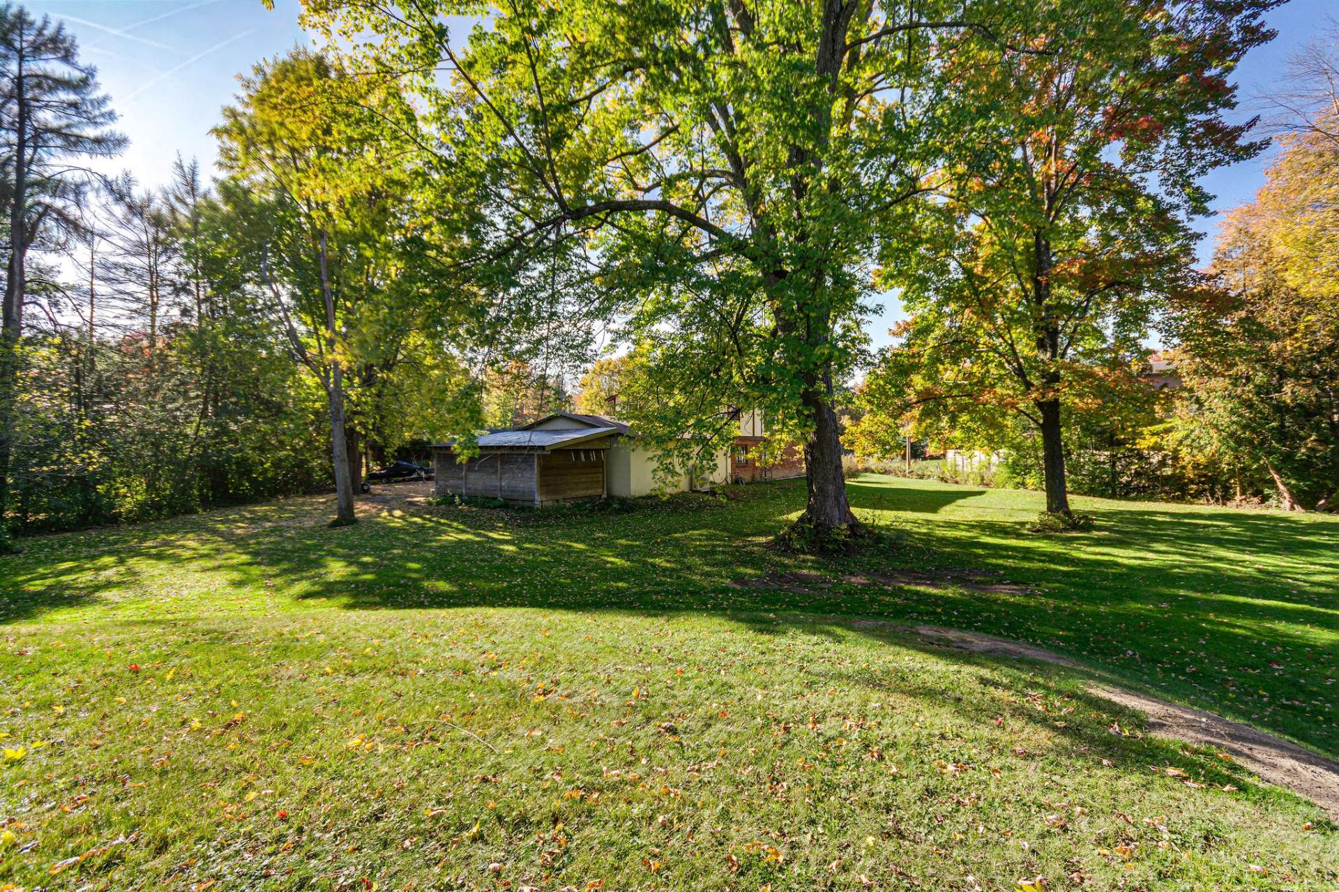 Backyard