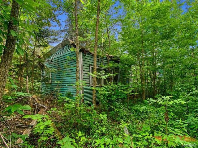 Land/Lot