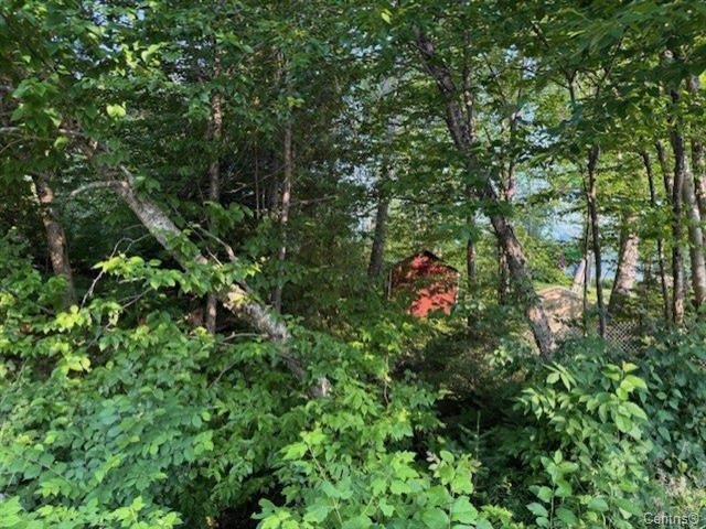 Land/Lot