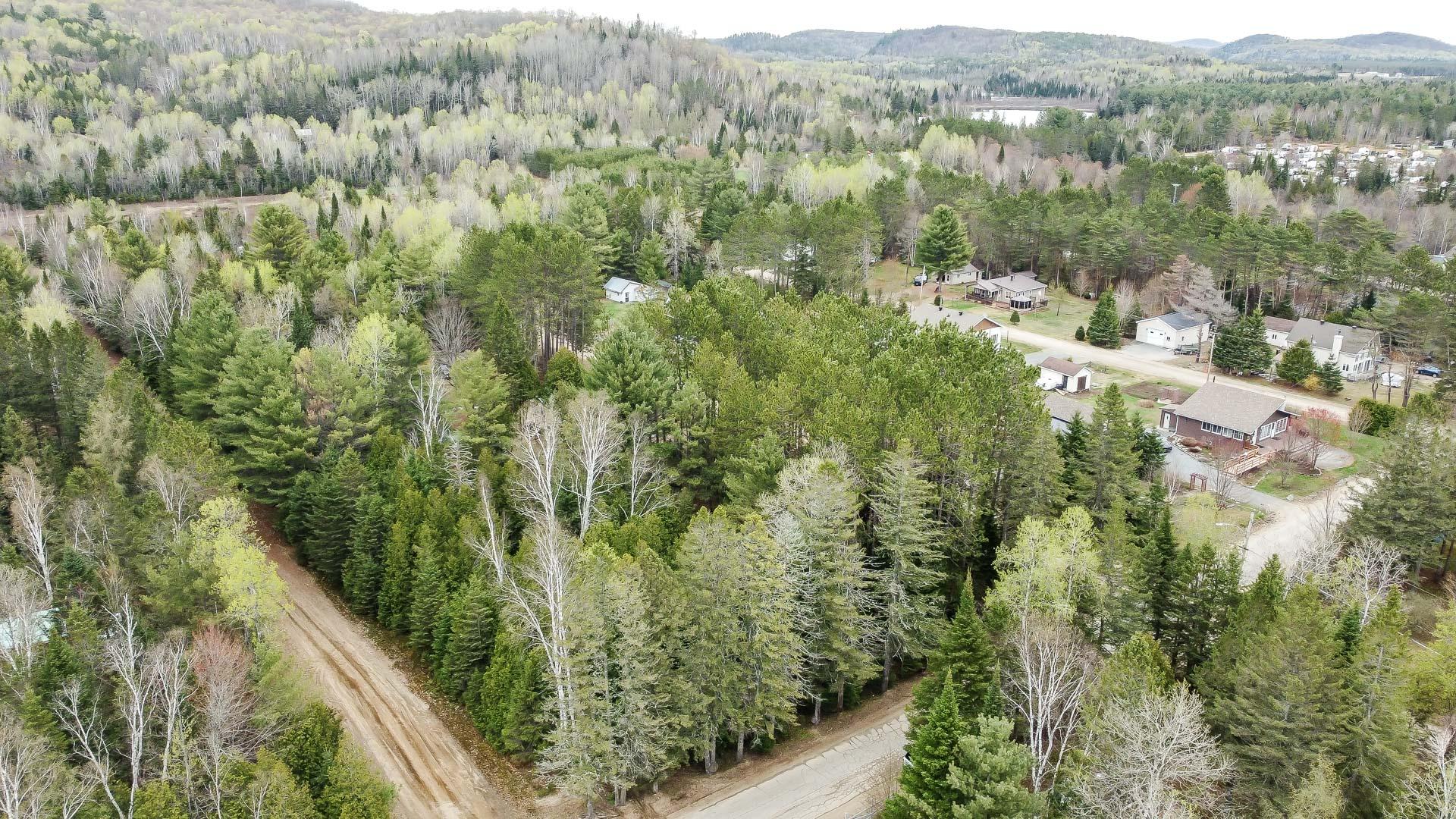 Overall View