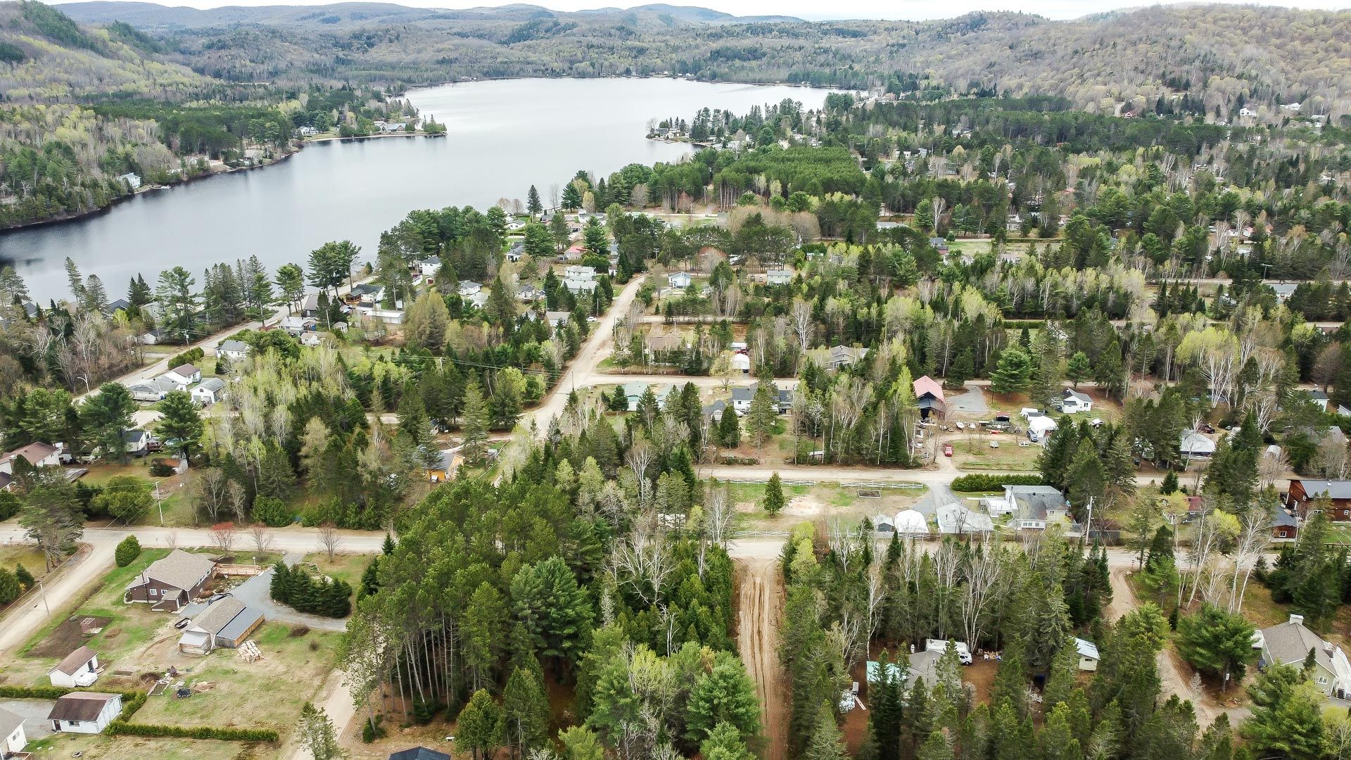 Overall View