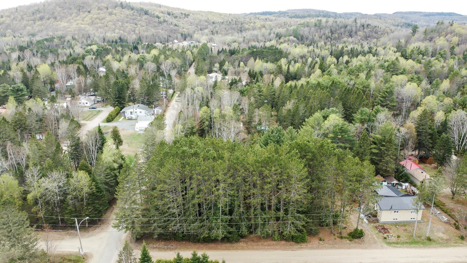 Overall View