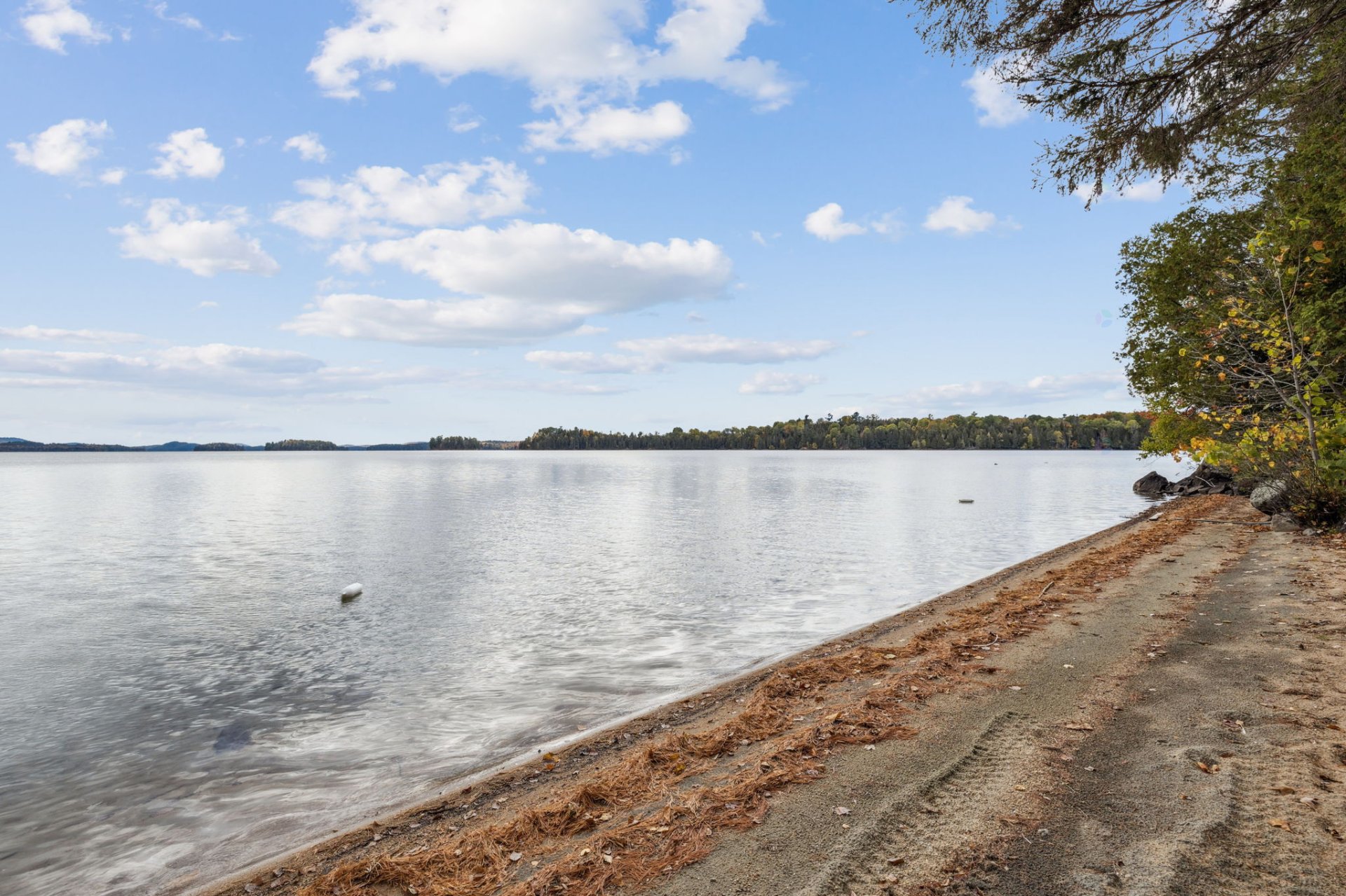 Waterfront