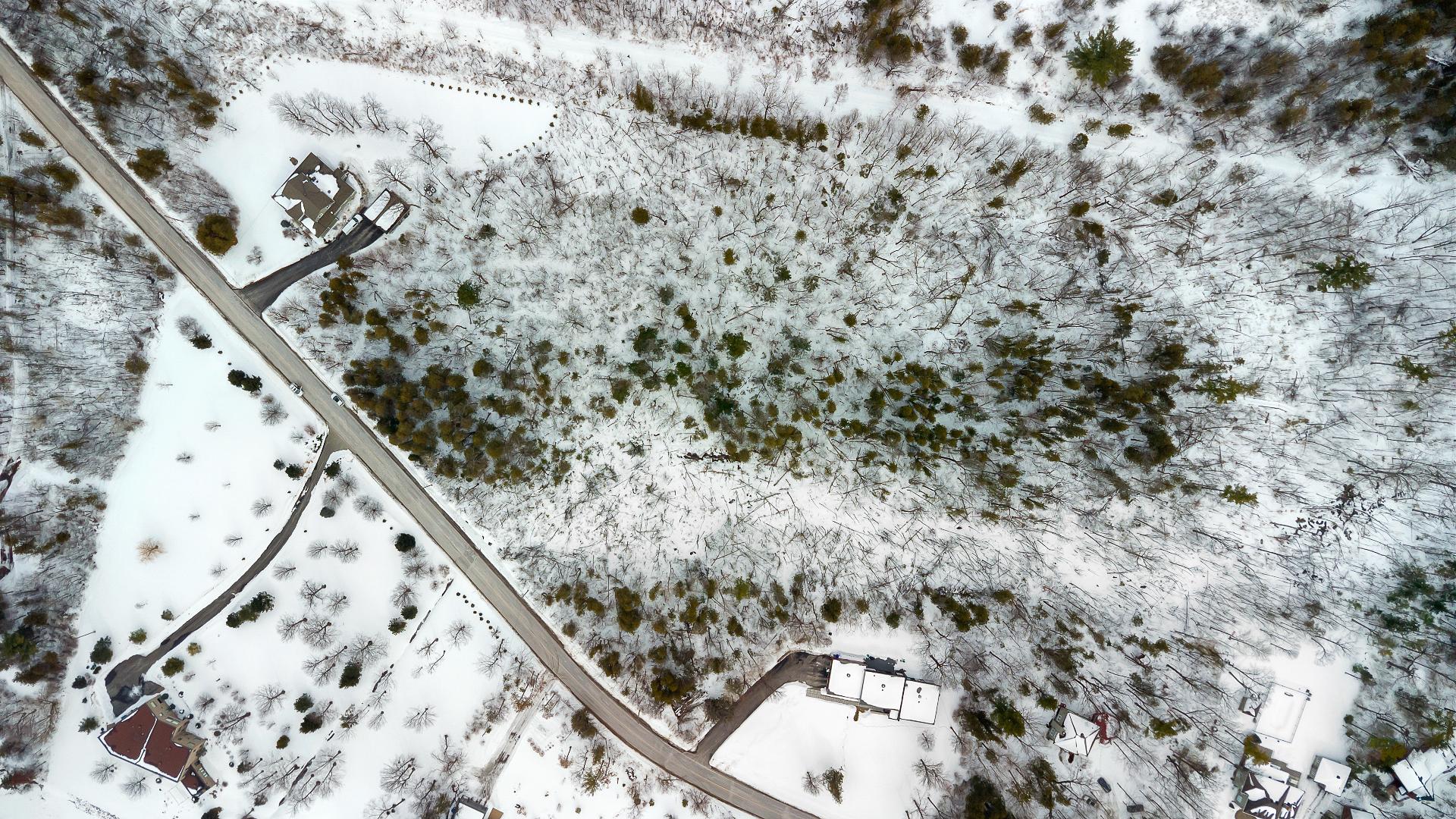 Land/Lot