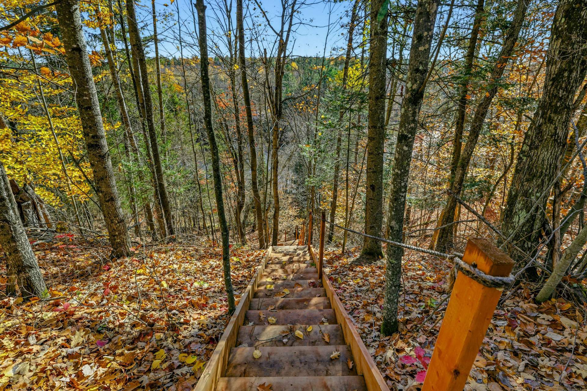 Escalier