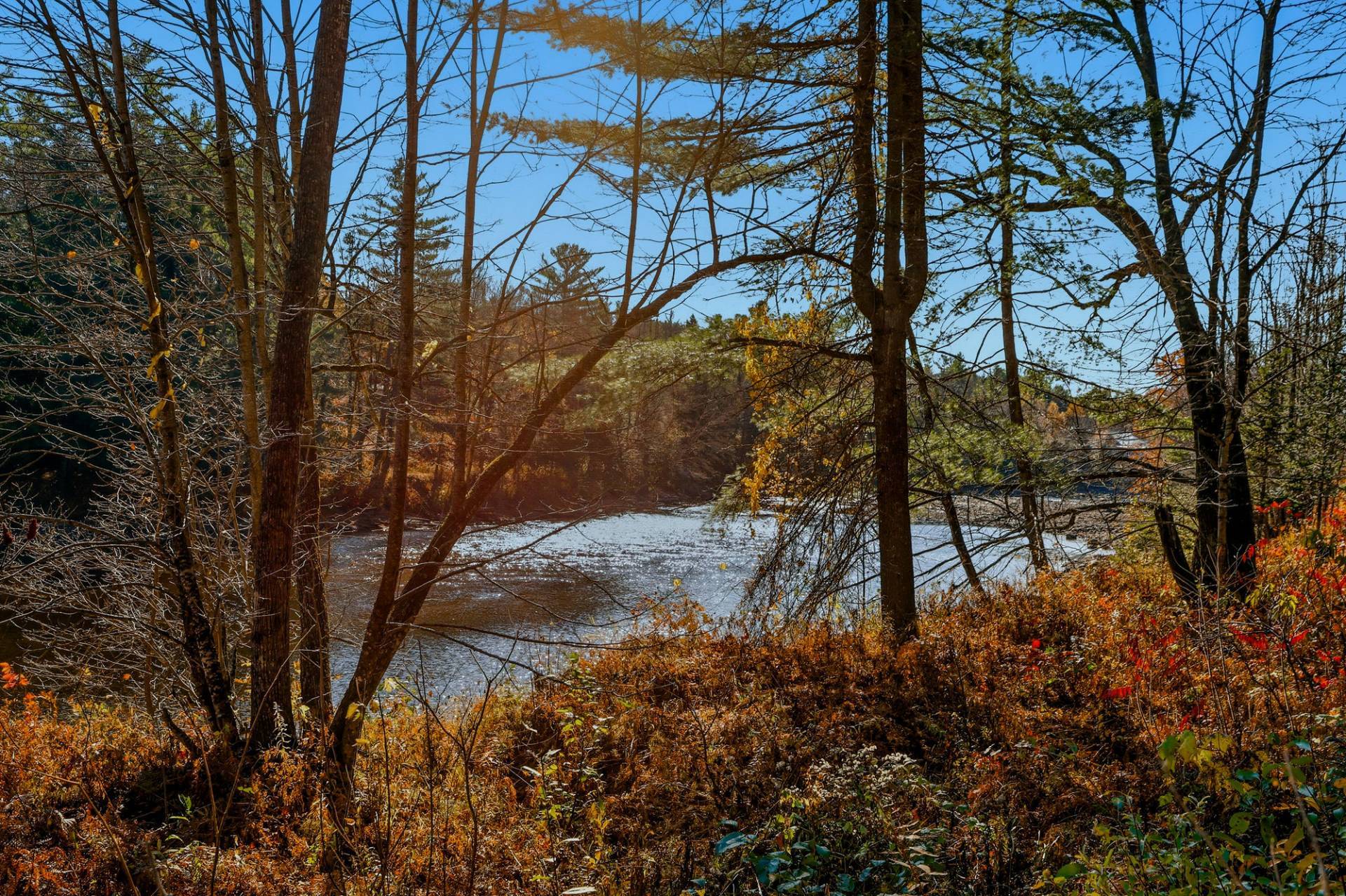 Vue sur l'eau