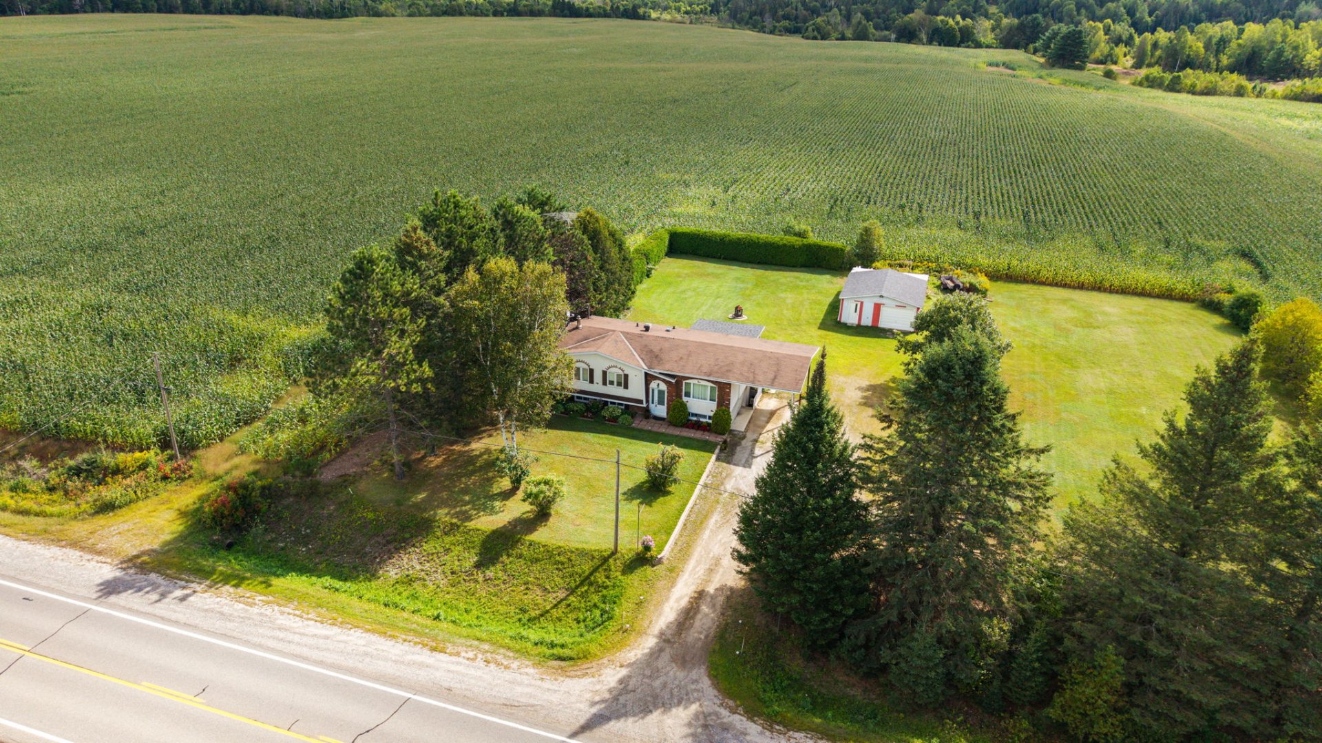 Aerial photo