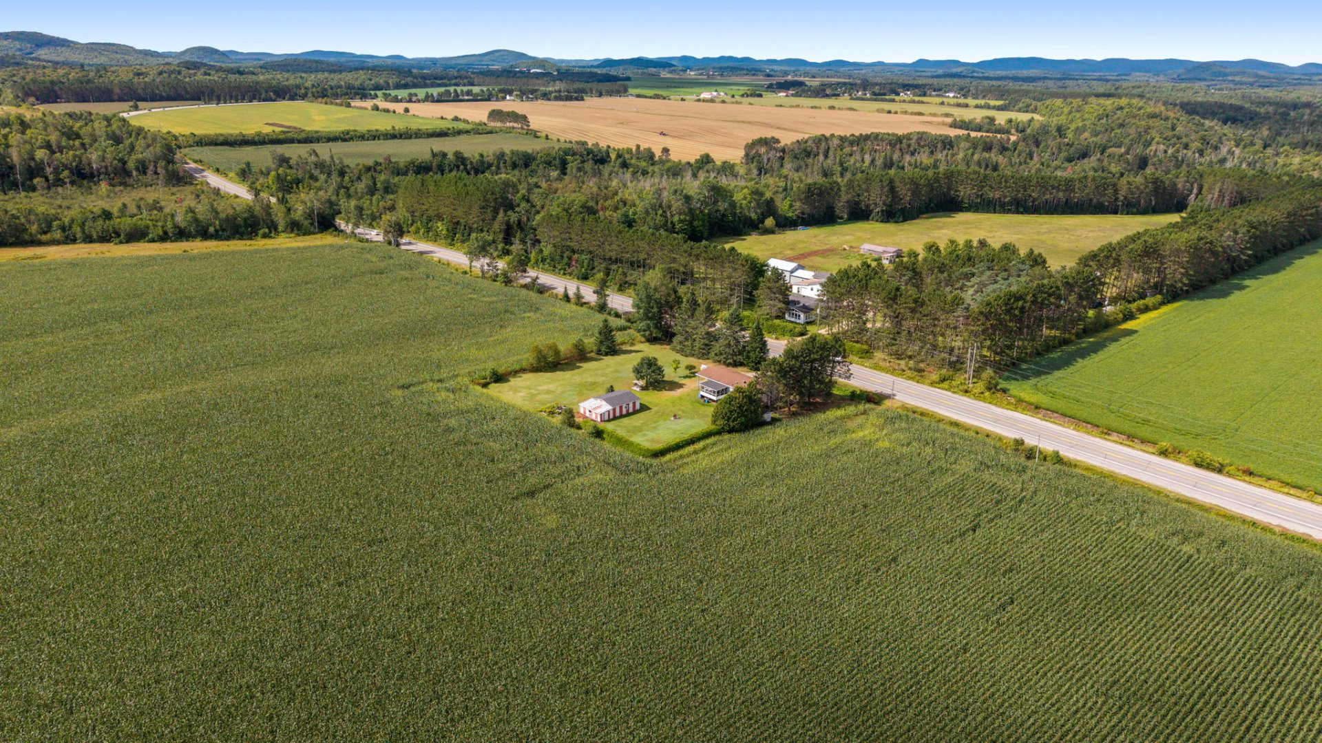 Aerial photo