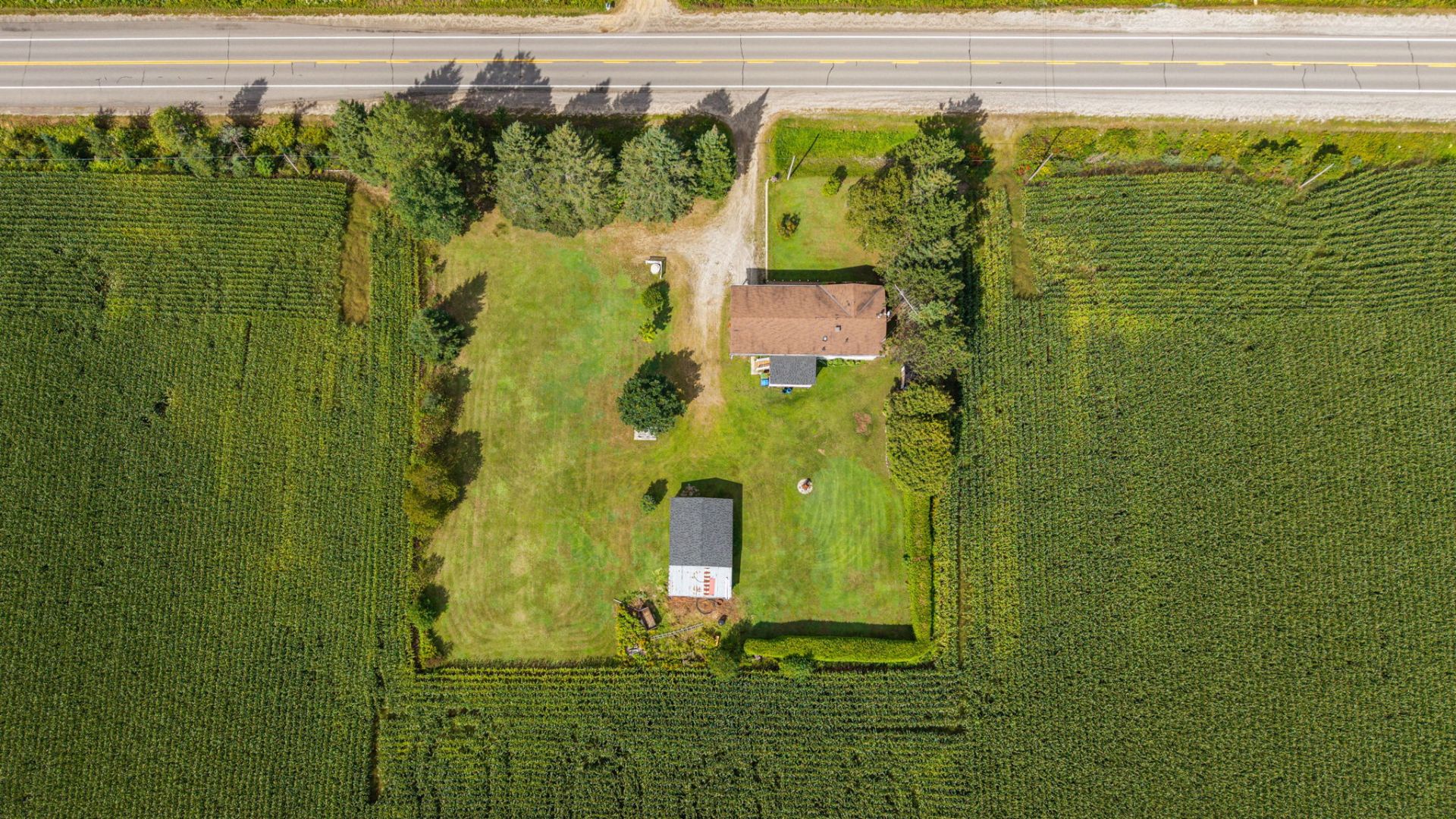 Aerial photo