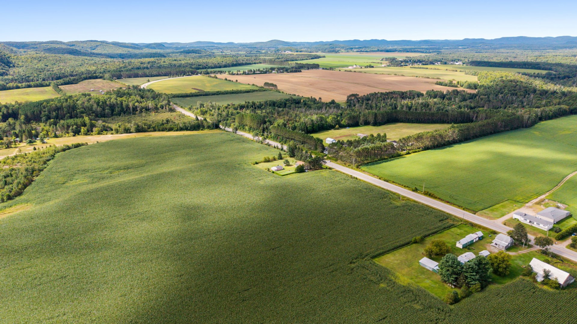 Aerial photo