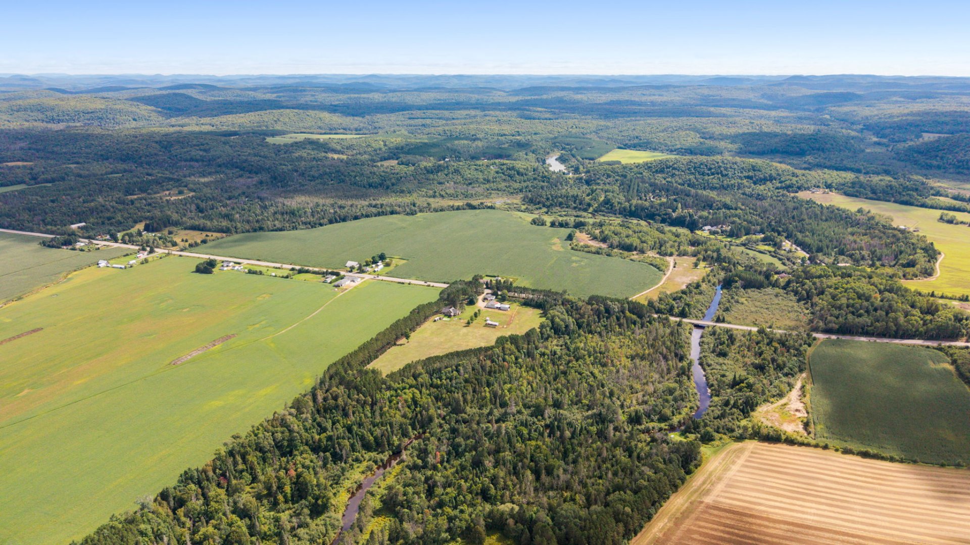 Aerial photo