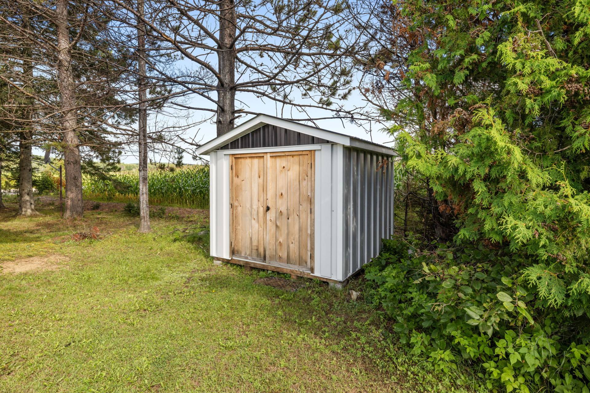 Shed