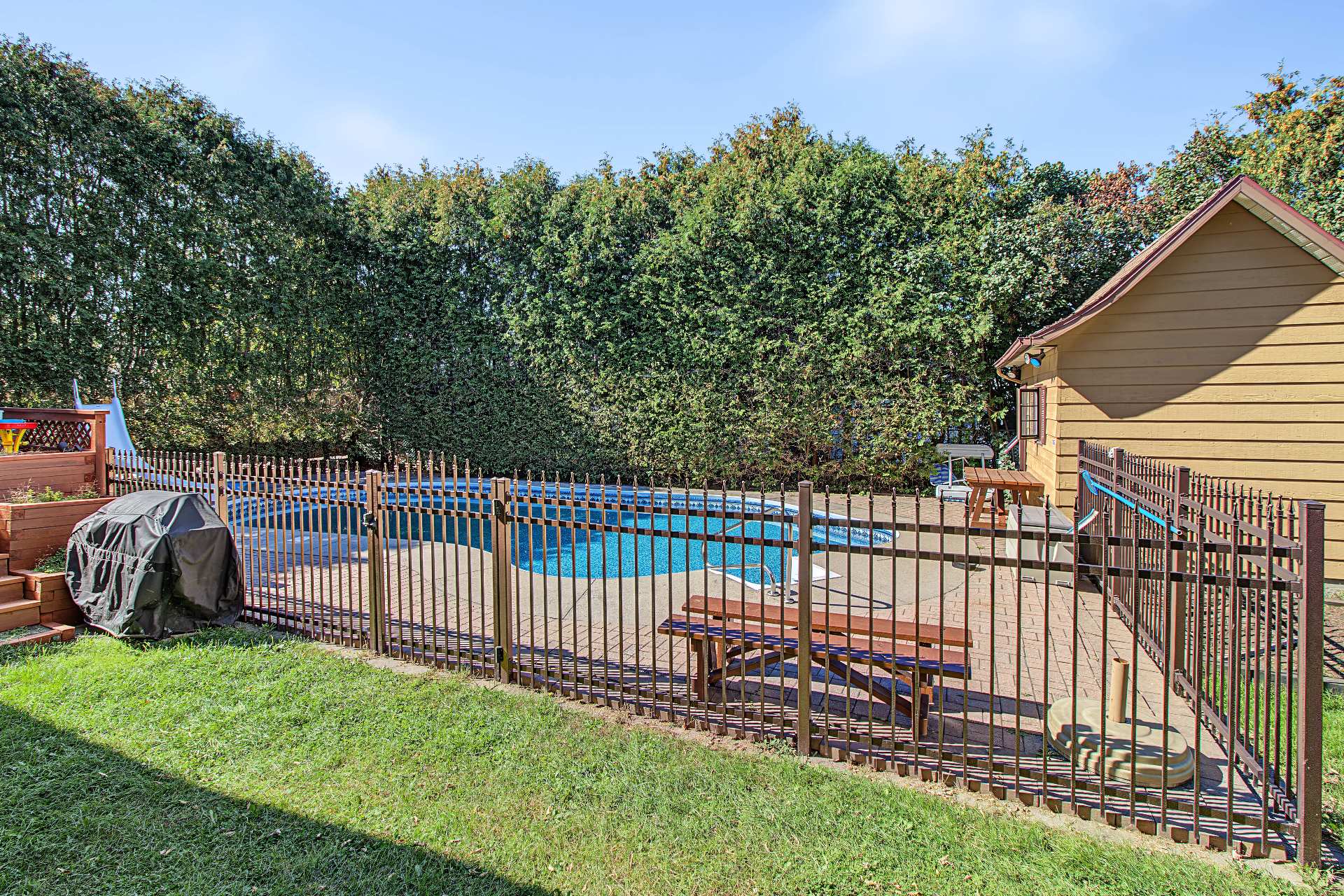 Backyard