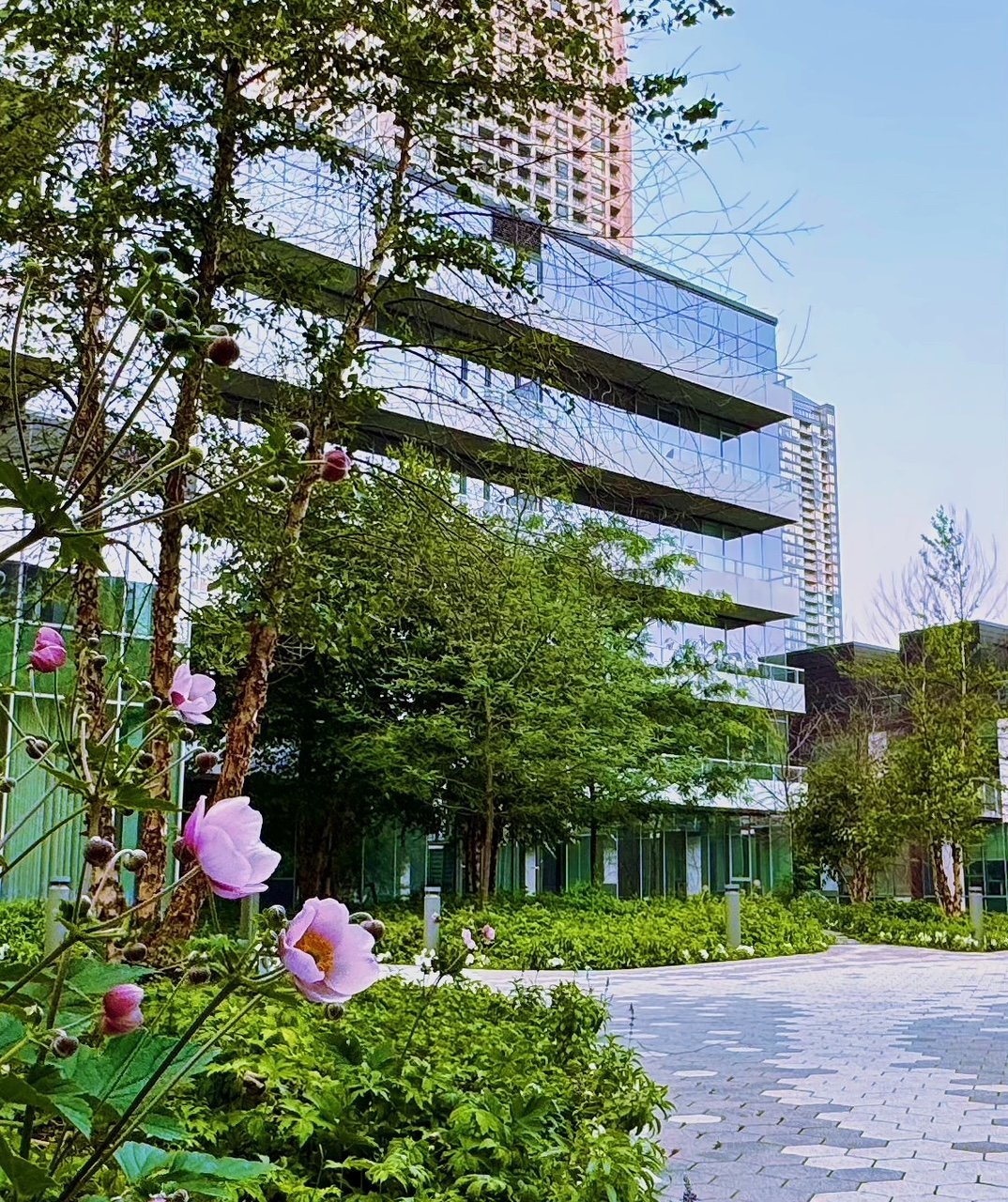 1400 Boul. René-Lévesque O. 201B