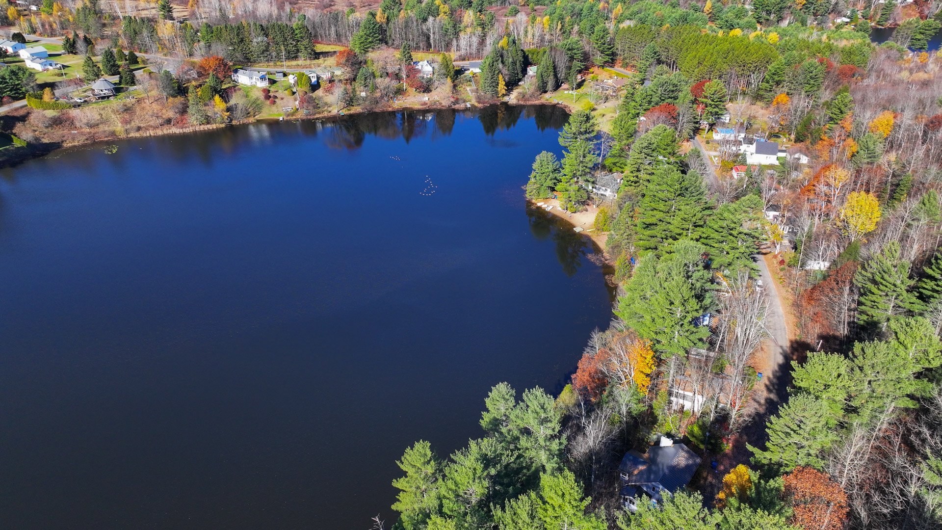 Aerial photo