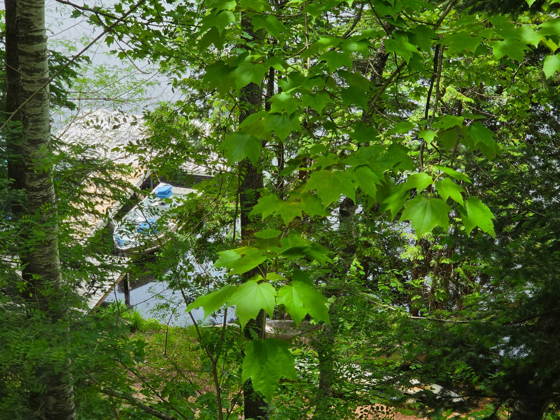 Water view - view from the house