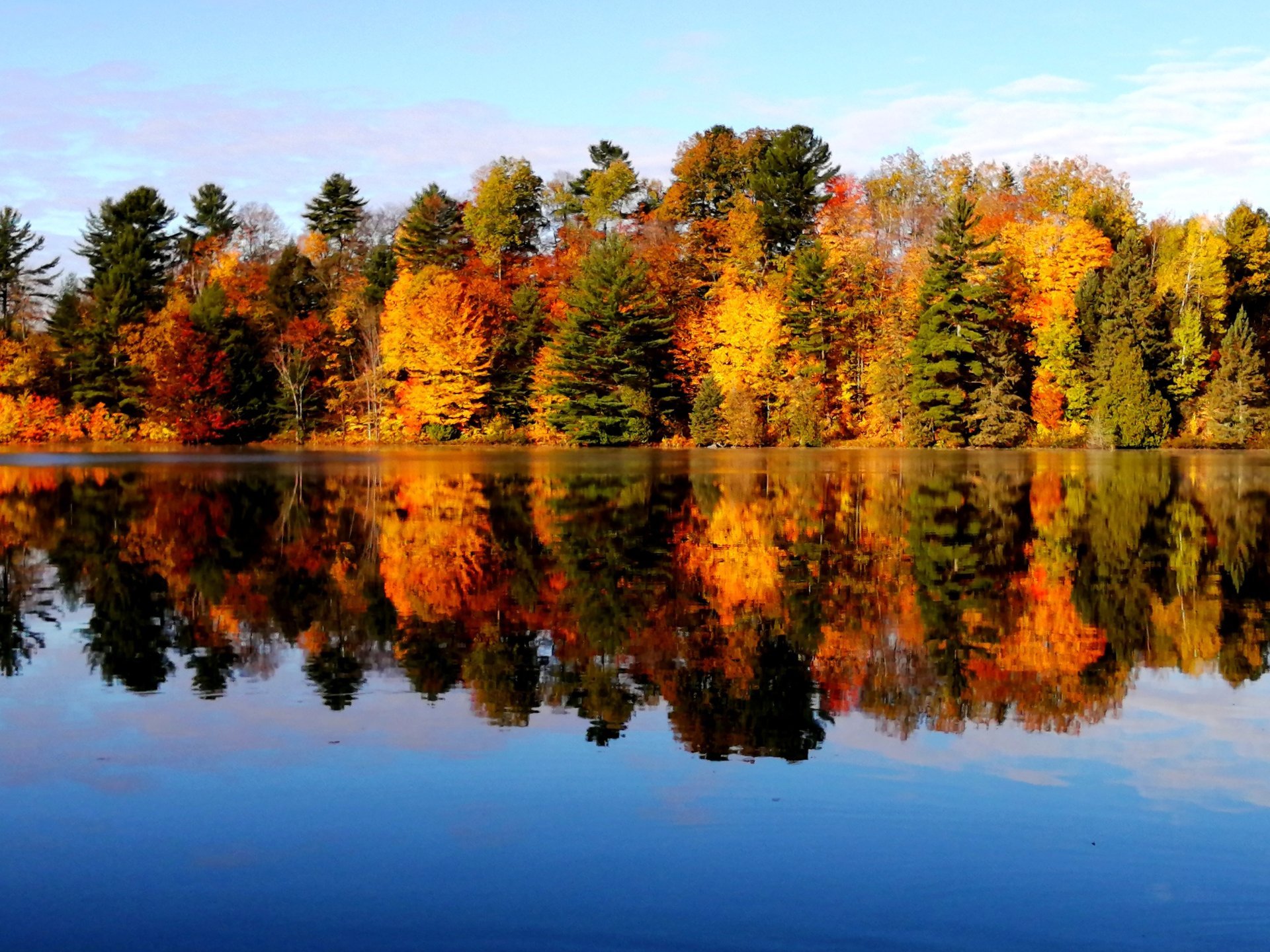 Other - Autumn