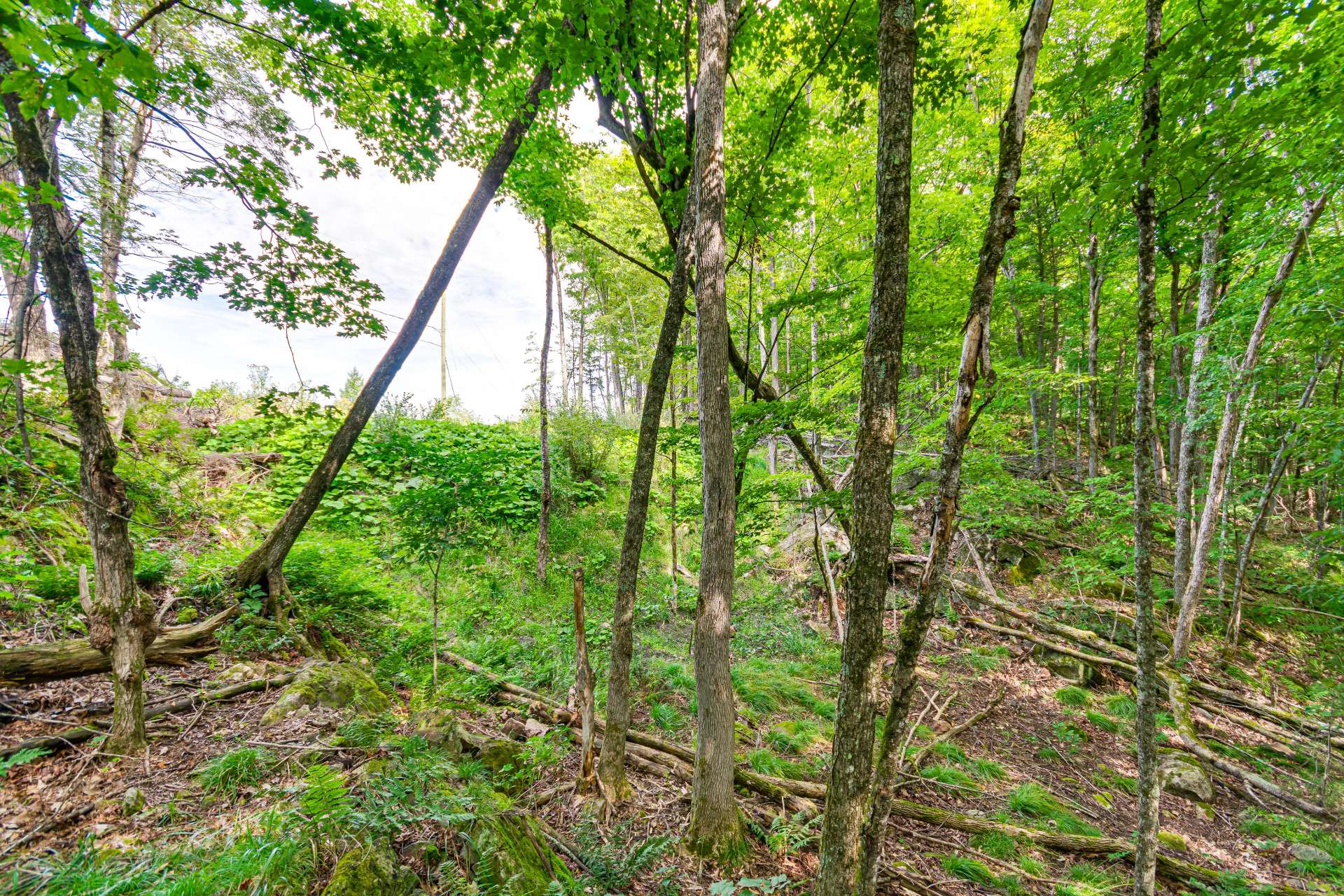 Land/Lot