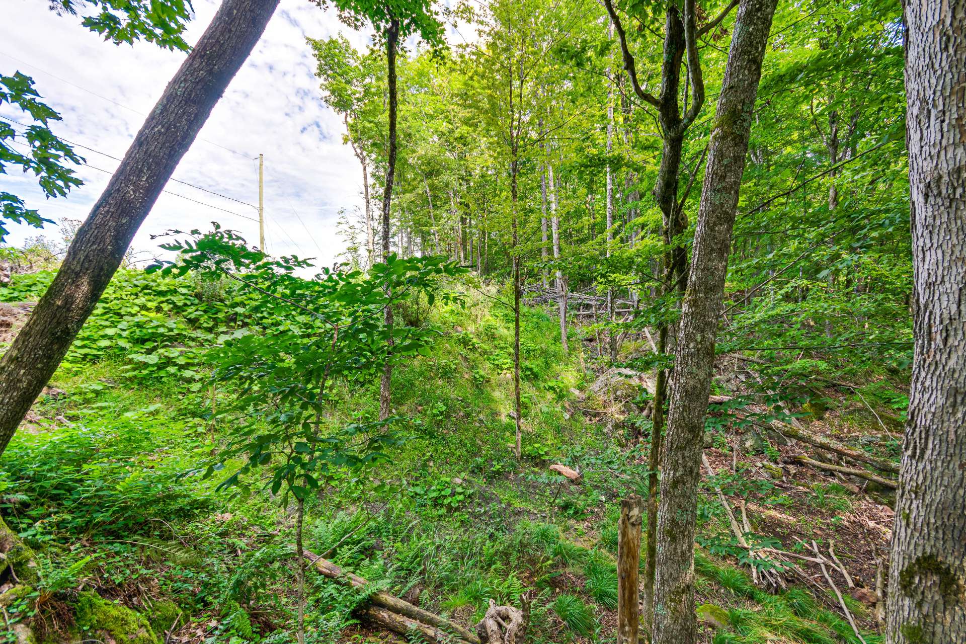 Land/Lot