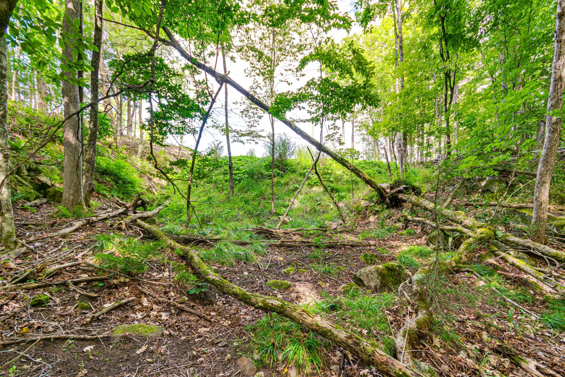 Land/Lot