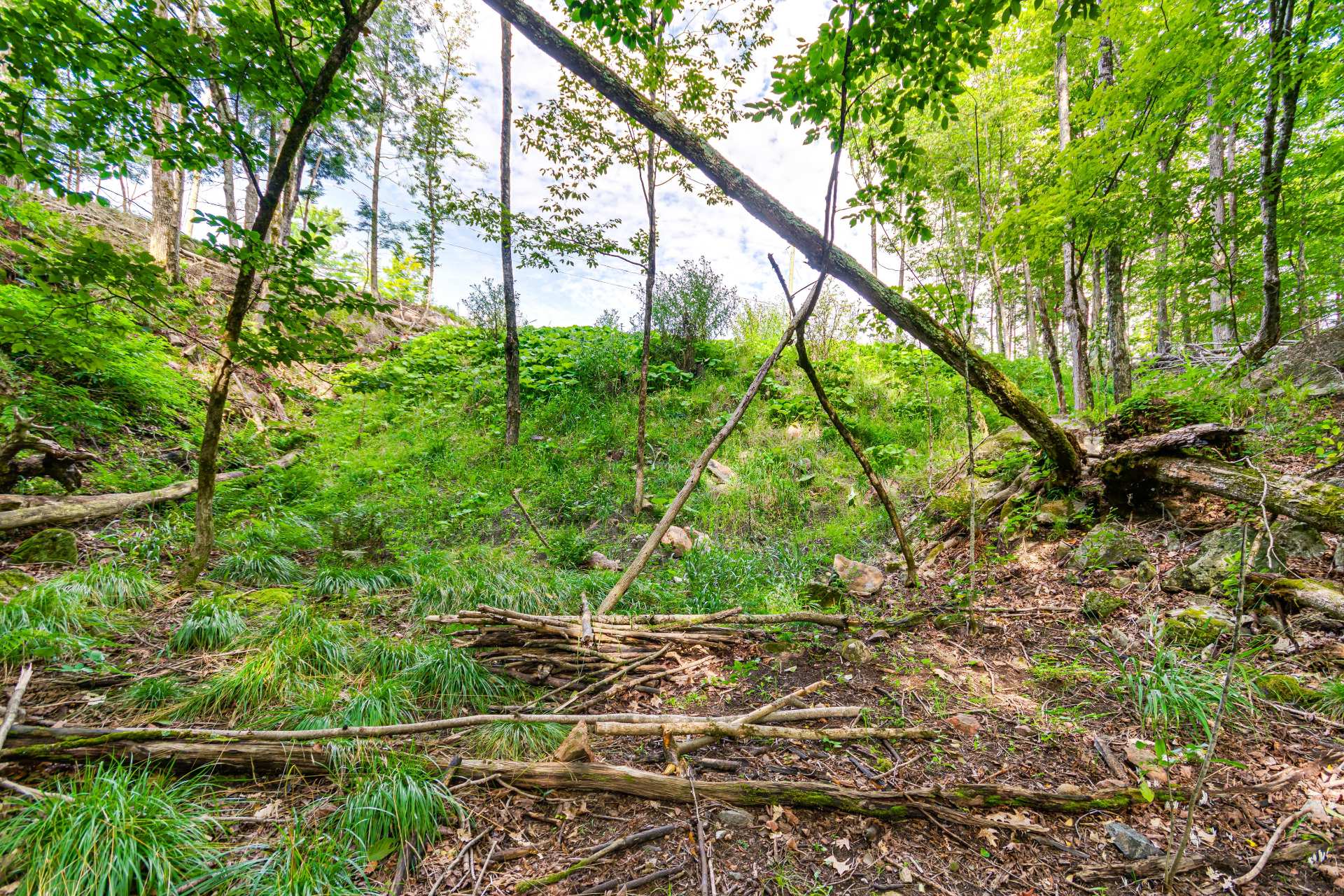 Land/Lot