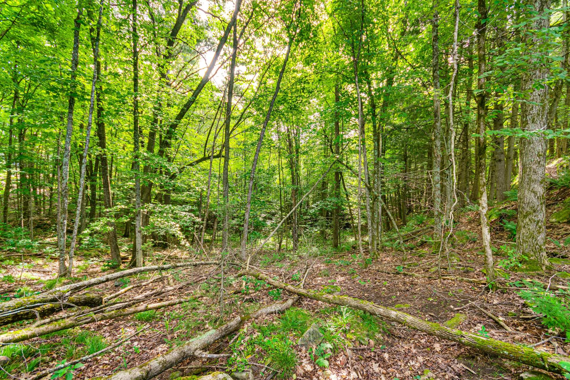 Land/Lot