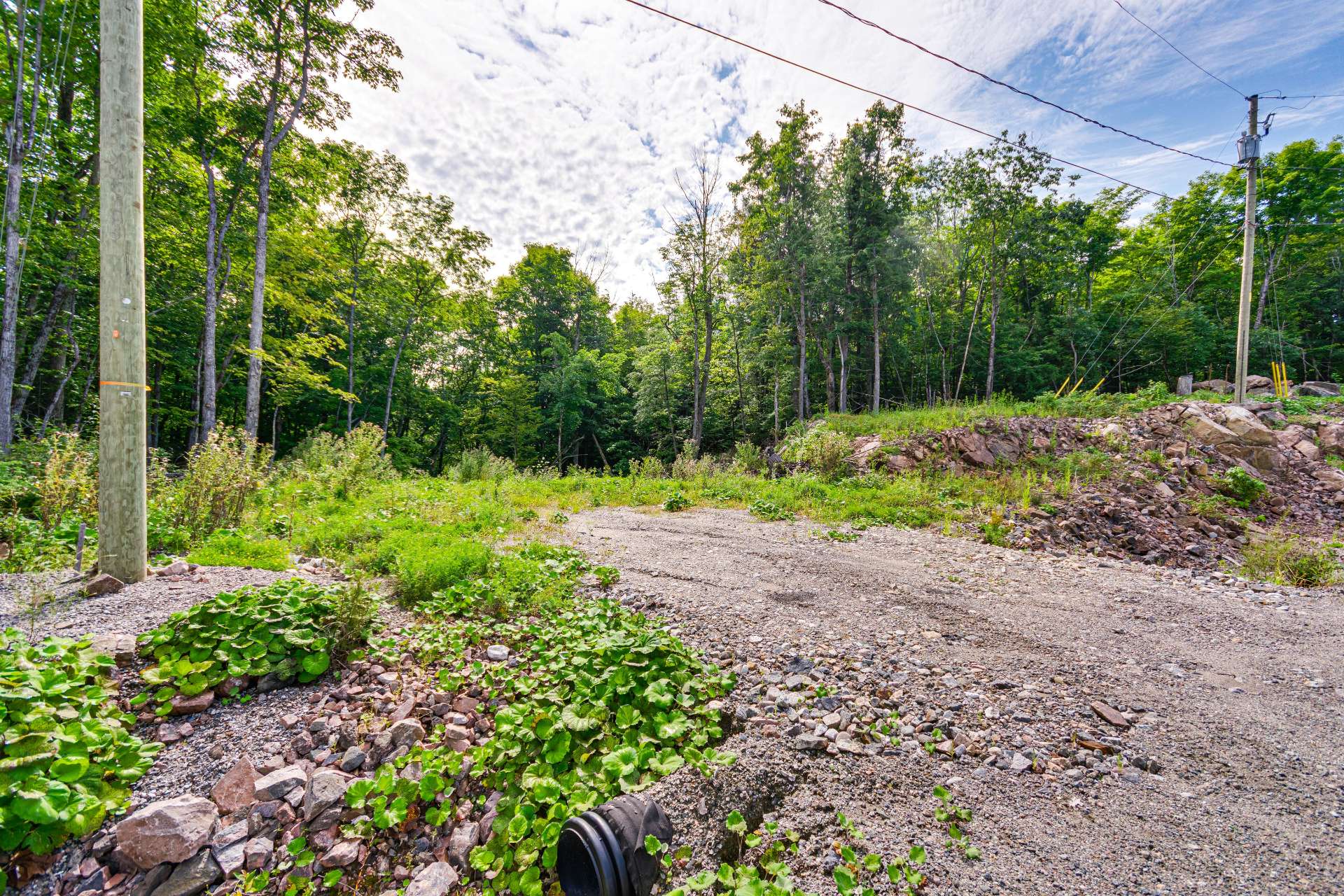 Land/Lot