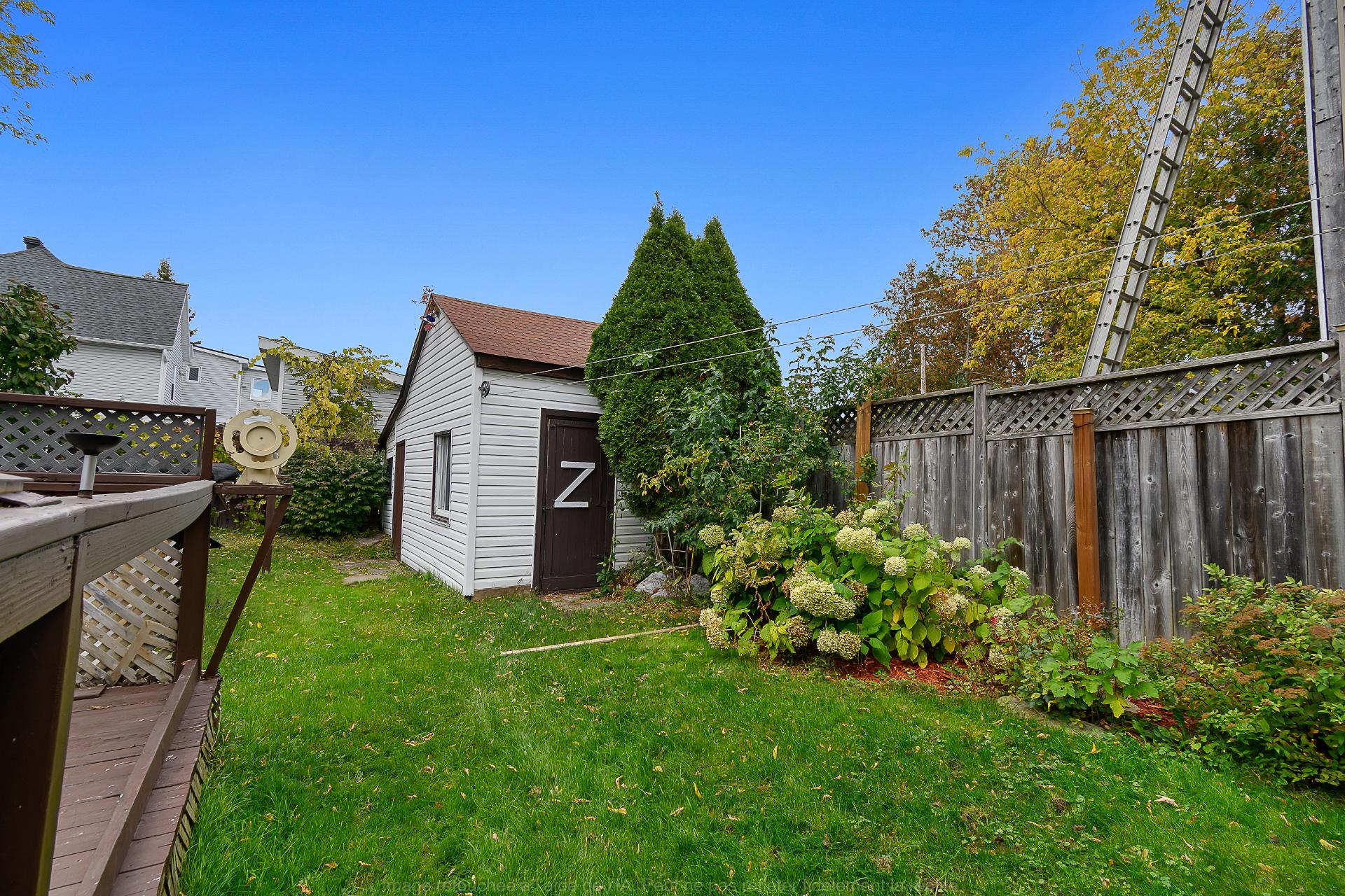Shed