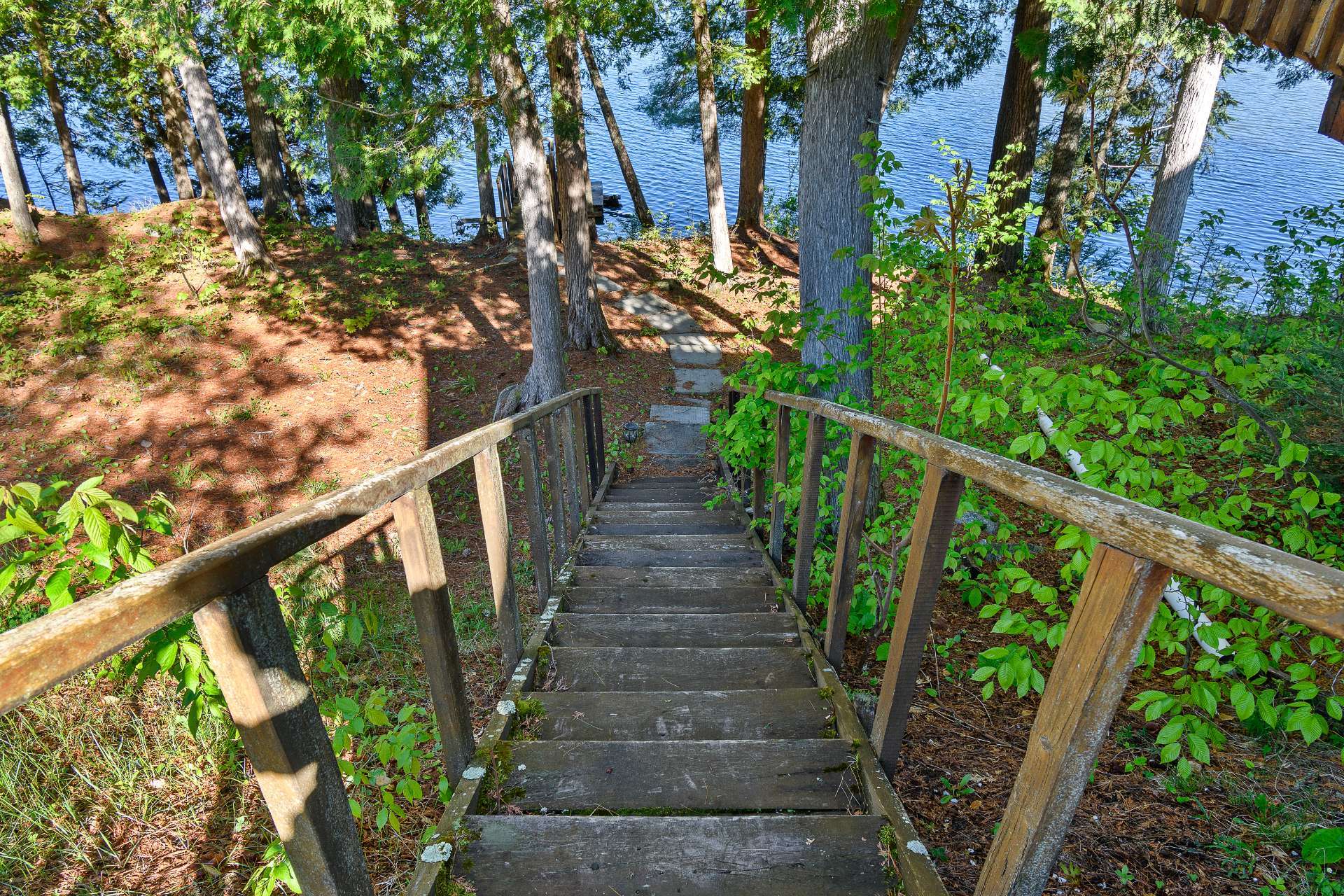 Overall View
