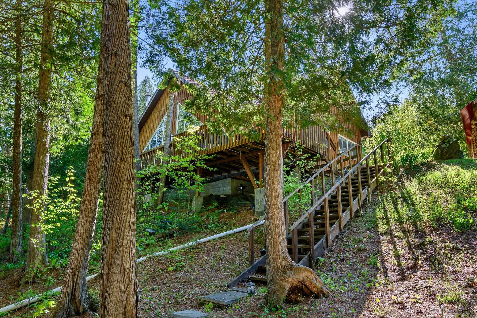Overall View
