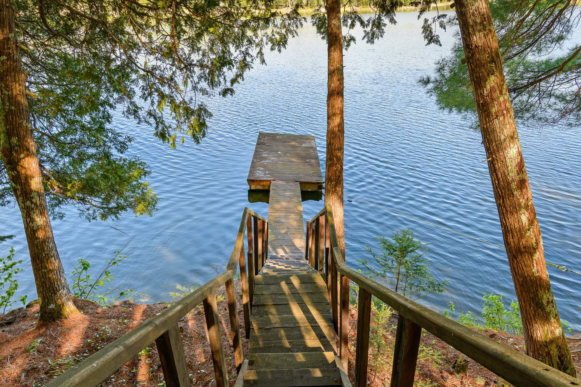 Water view