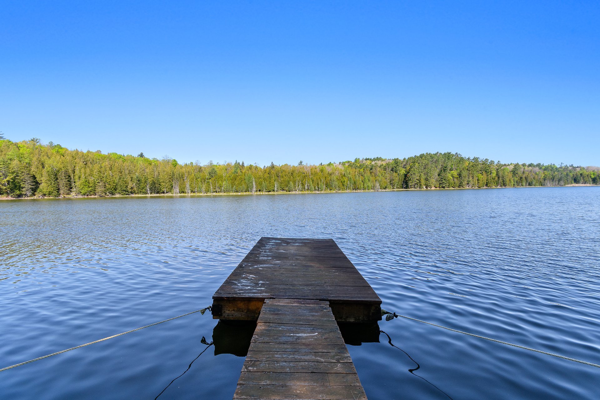 Water view