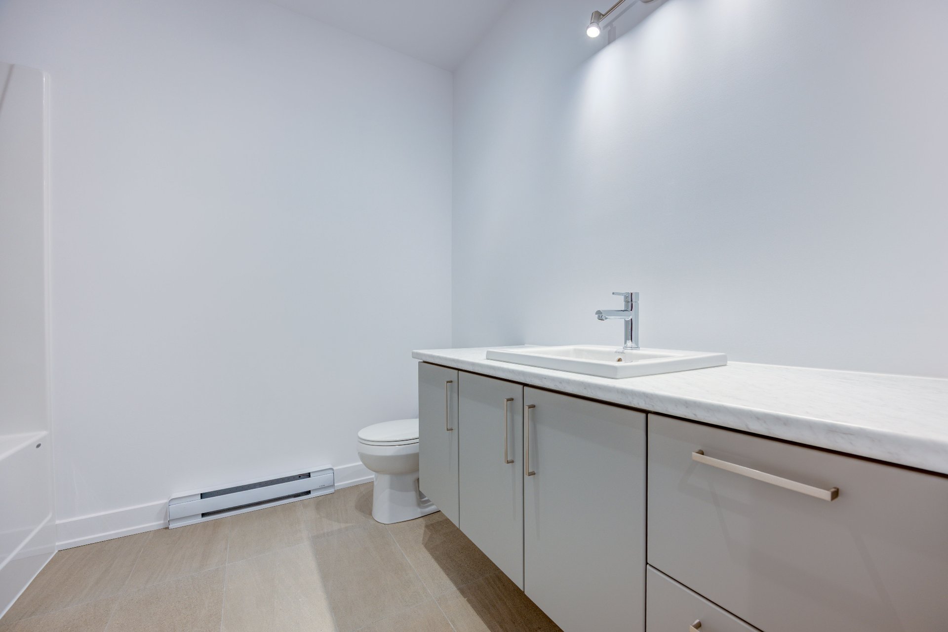 Bathroom - in the basement