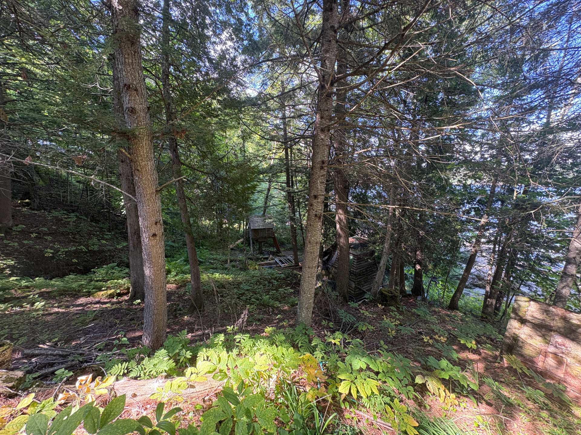 Land/Lot