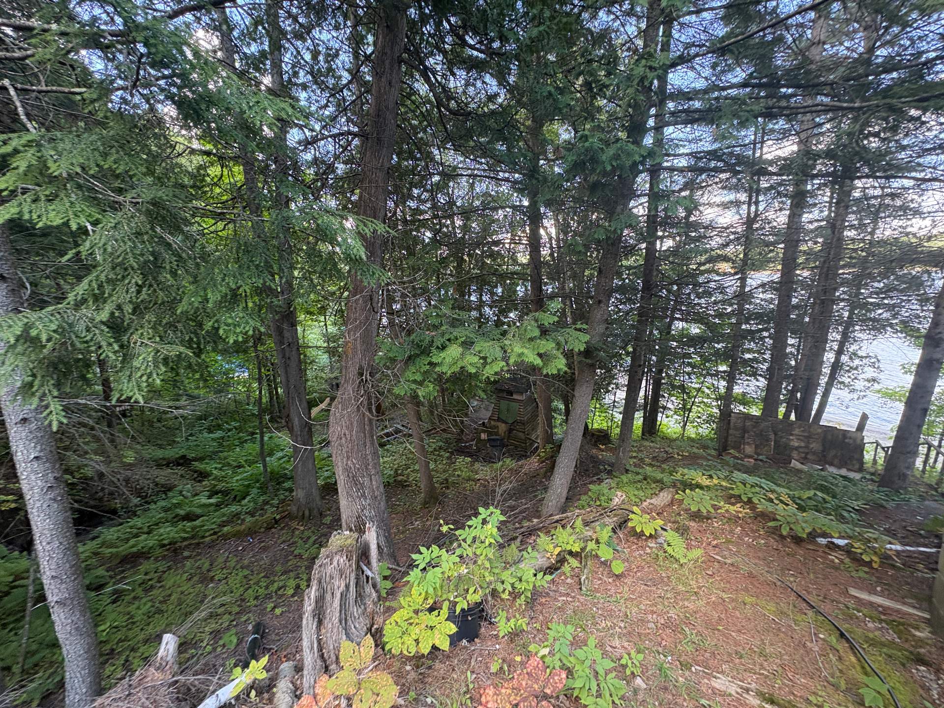 Land/Lot