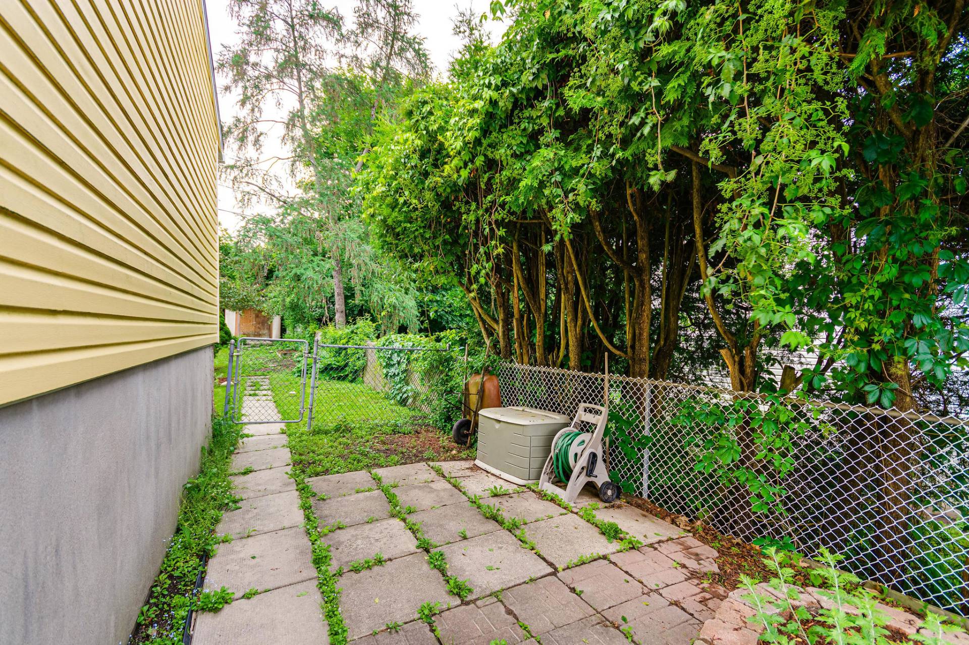 Backyard