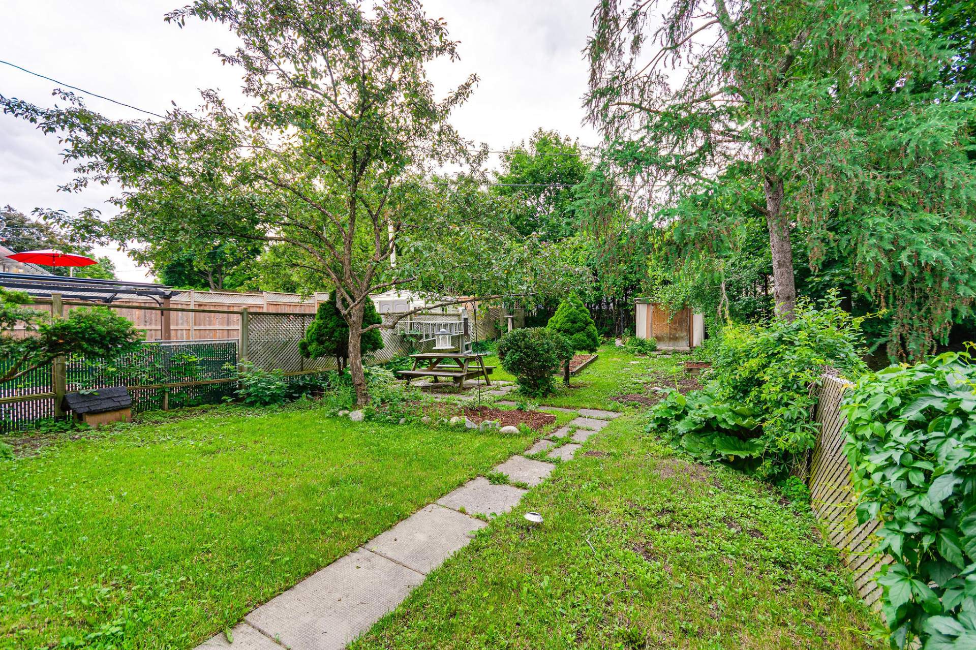 Backyard